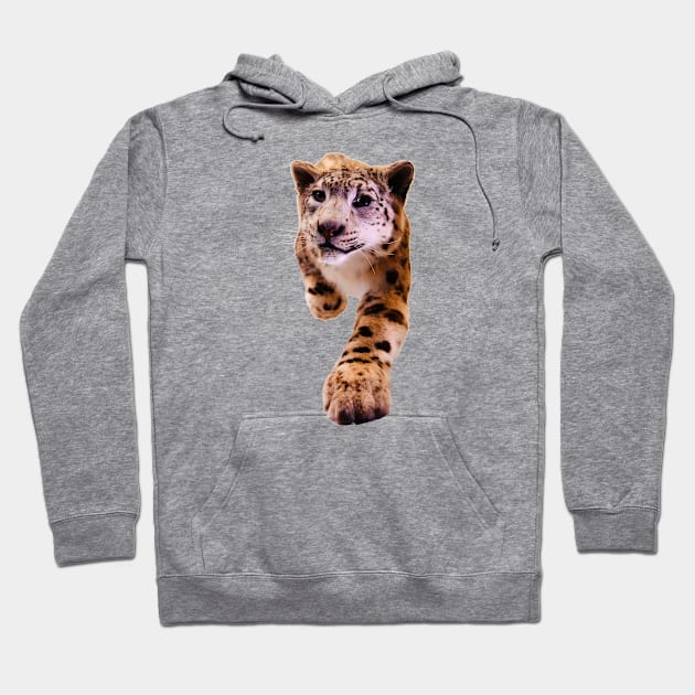 Snow Leopard / Swiss Artwork Photography Hoodie by RaphaelWolf